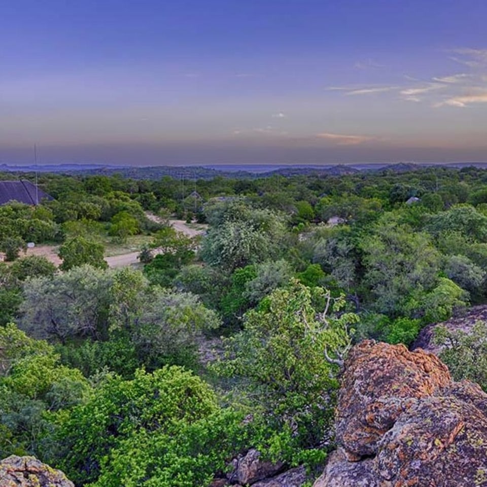 Awelani Lodge